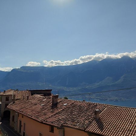 Ulivi Sul Garda Garden By Gardadomusmea Apartment Tremosine Bagian luar foto