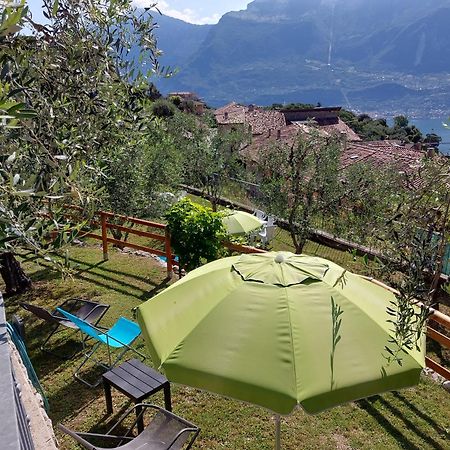 Ulivi Sul Garda Garden By Gardadomusmea Apartment Tremosine Bagian luar foto