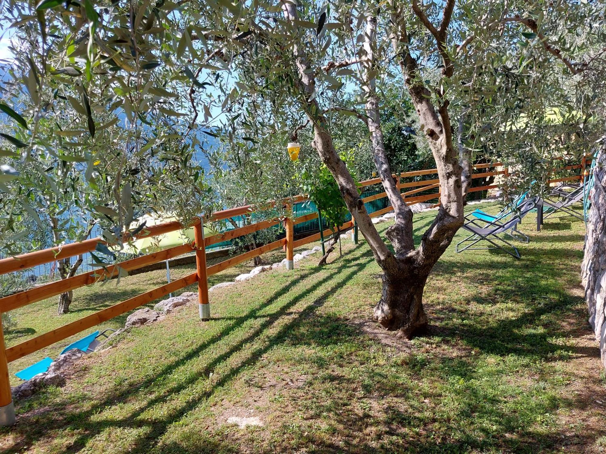 Ulivi Sul Garda Garden By Gardadomusmea Apartment Tremosine Bagian luar foto