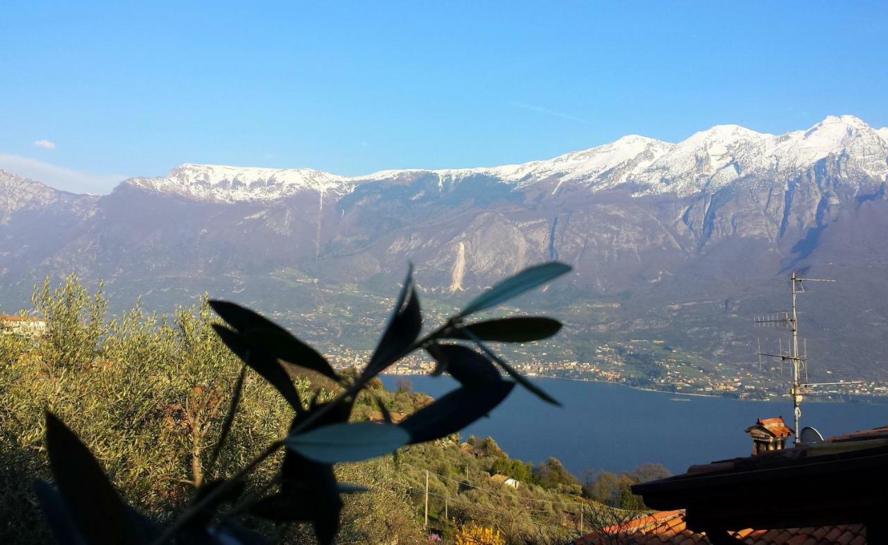Ulivi Sul Garda Garden By Gardadomusmea Apartment Tremosine Bagian luar foto